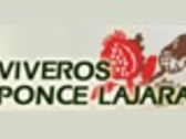 VIVEROS PONCE LAJARA