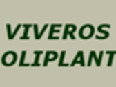 Viveros Oliplant