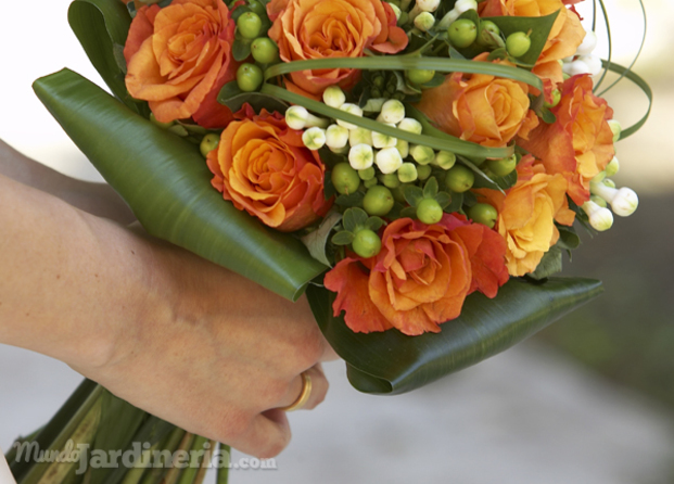 Rosas y stephanotis