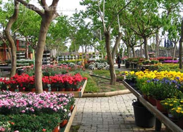 garden center