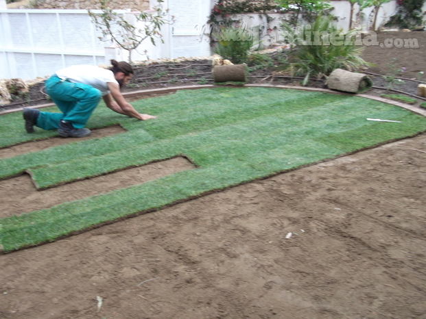 Jardinería Angulo 