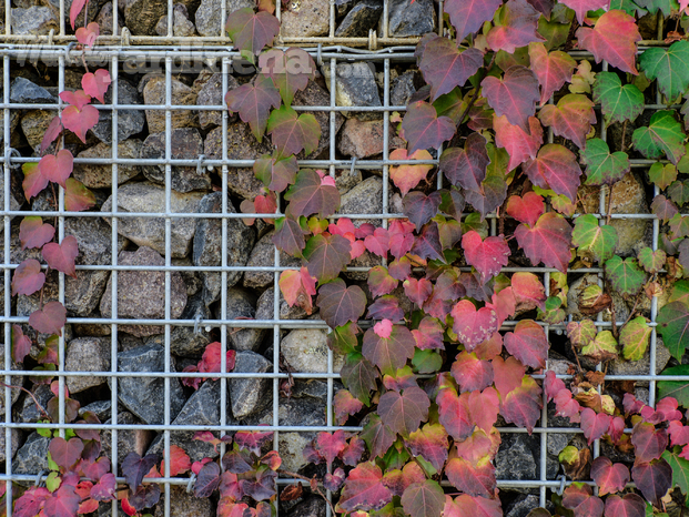 Montajes efímeros en jardín