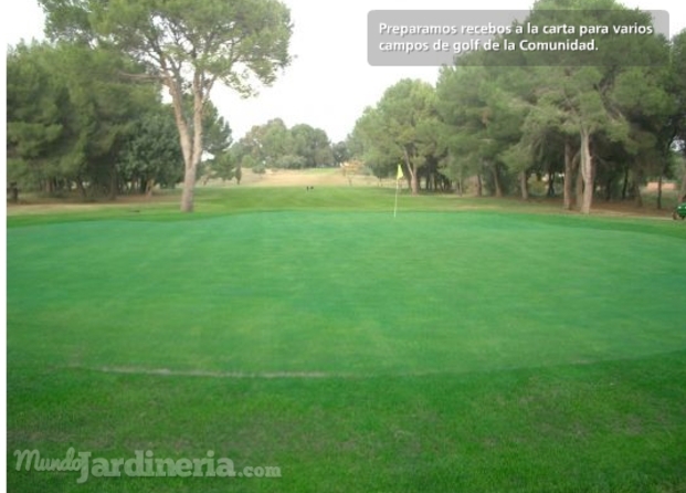 Campo de Golf