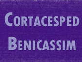 Cortacesped Benicassim