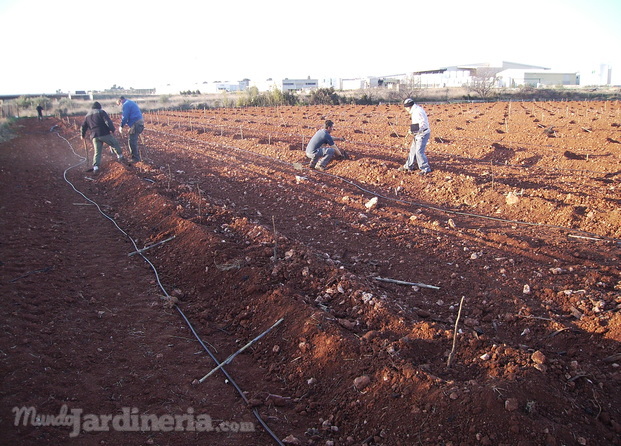 Agroserveis San Marti