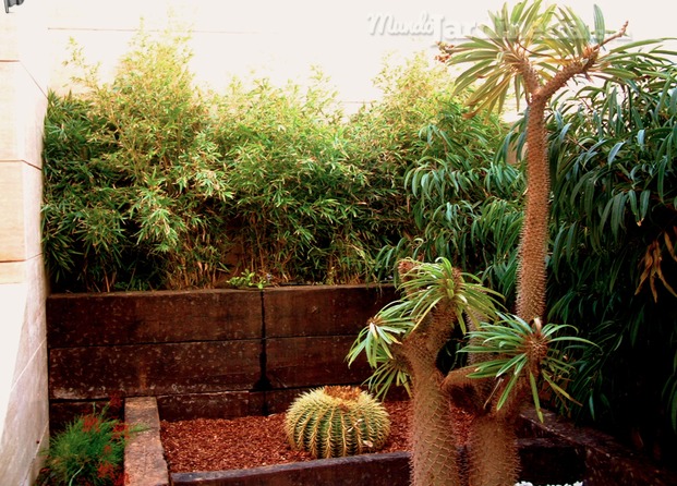 Patio interior