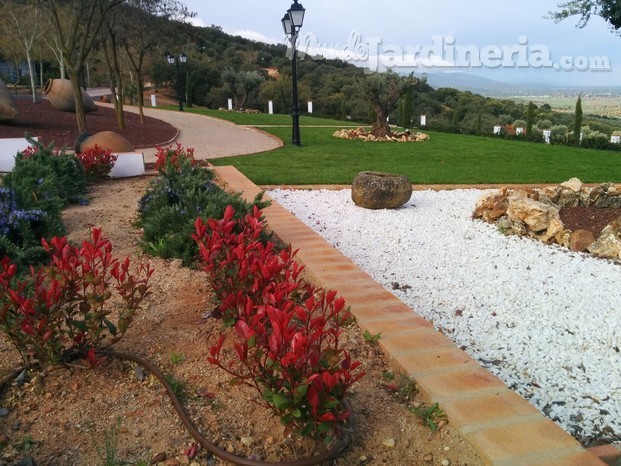 Ajardinamiento de Finca en Toledo