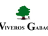 Viveros Gabao