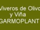 Viveros De Olivo Y Viña Garmoplant