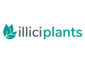 Illici Plants