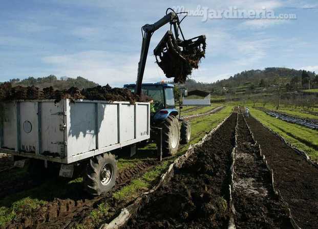 Trabajo en exterior