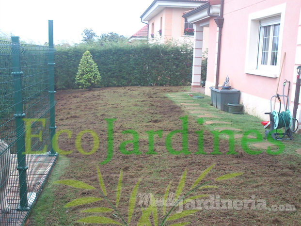 1 jardin trasero durante el escarificado.jpg