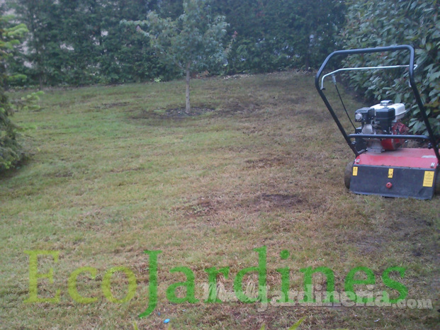  jardin delantero durante el escarificado