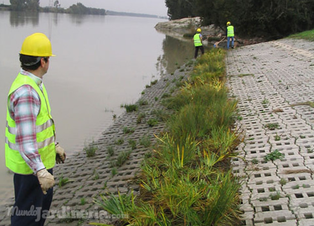 Obras de paisajismo.