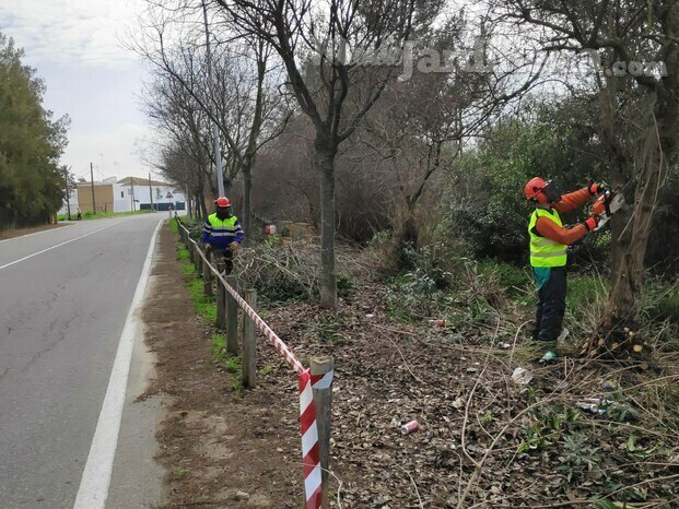 PODAS, TALAS, DESBROCE, MANTENIMIENTOS, VALLADOS, TRATAMIENTOS SILVÍCOLAS