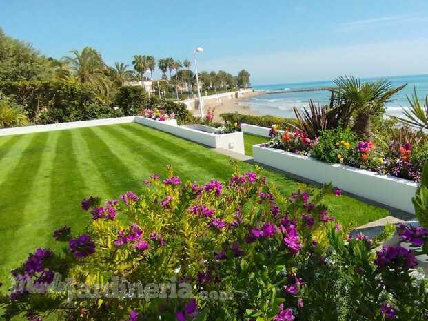 Jardín playetas (Castellon)