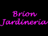 Brion Xardin