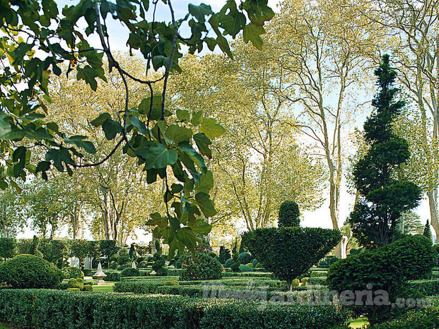 Paisajismo Jardinería