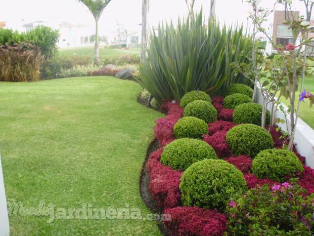 1281151252_109450302_4-JARDINERIA-Y-PAISAJISMO-Otros-Servicios-1281151252.jpg