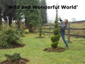 Wild and Wonderful World (Plants/Topiary)