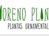 MorenoPlant