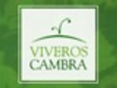 VIVEROS CAMBRA