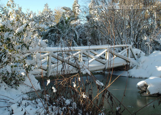 Lago viveros ferca