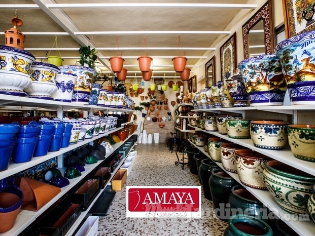 Interior de la tienda 