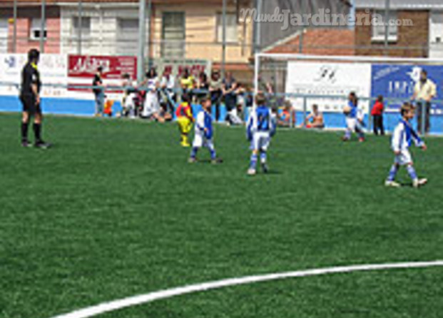 Campo de futbol