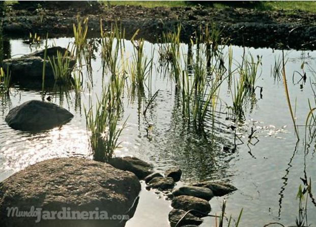 Jardinería