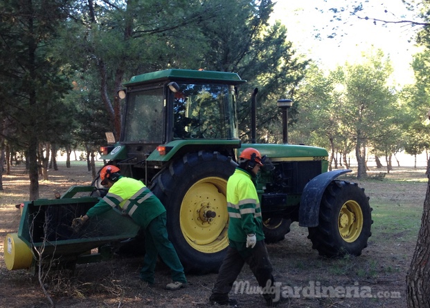 En pleno trabajo