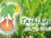 Tajalaque - Jardineria Integral
