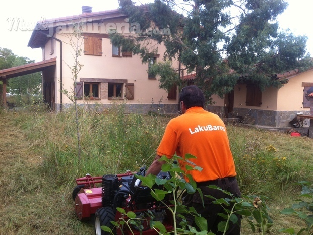 Trabajando a fondo en un jardín