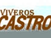 VIVEROS CASTRO