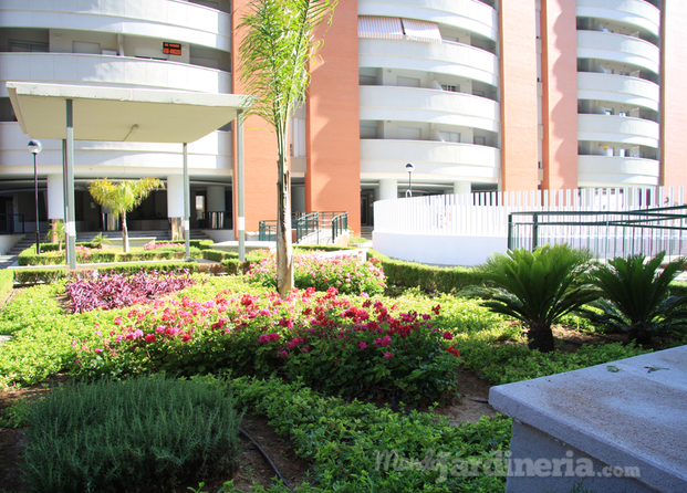 Floristería y plantación