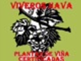 VIVEROS NAVA