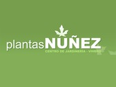 Plantas Núñez
