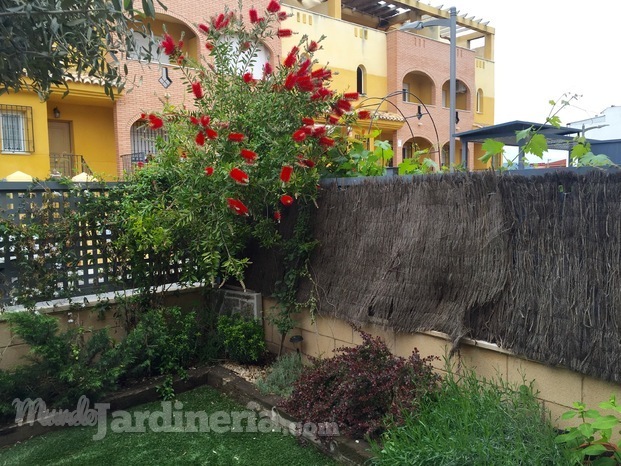 Construcción de jardín en Churriana de la Vega (Granada)