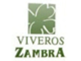 Viveros Zambra