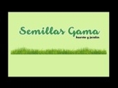 Semillas Gama