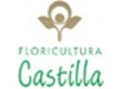FLORICULTURA CASTILLA