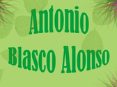 Antonio Blasco Alonso