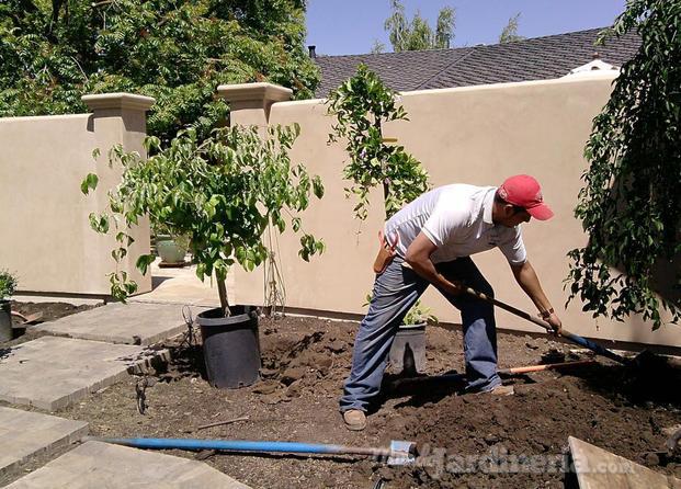 Renovación jardines