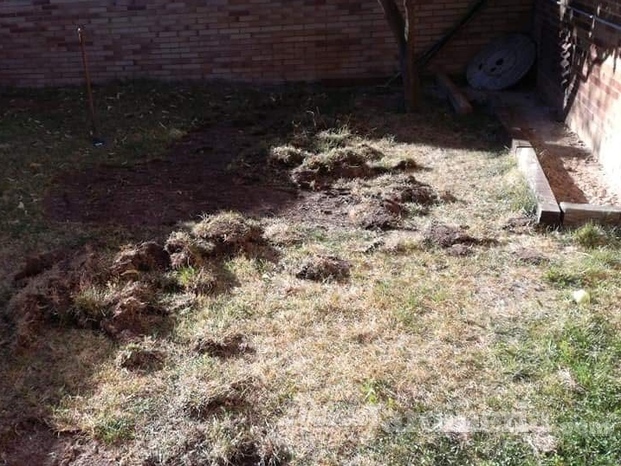 OBRA DE CESPED NATURAL