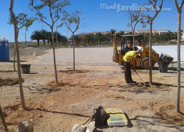 Trabajos previos