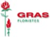 FLORISTERIA GRAS