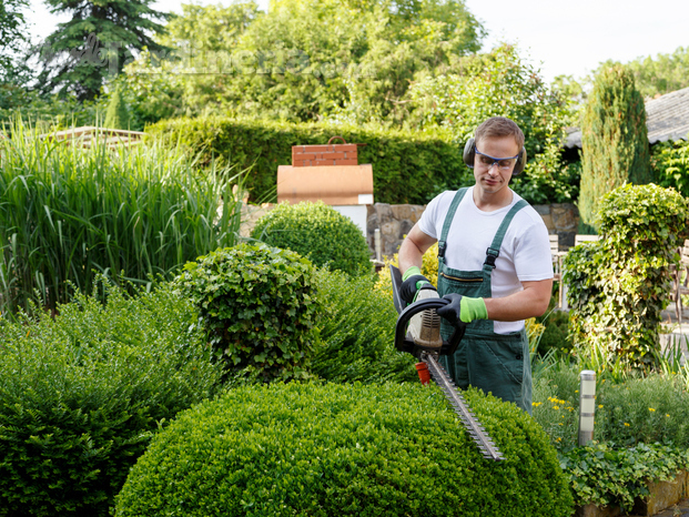 Mantenimiento Profesional de Jardines