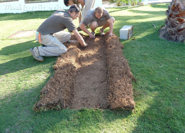 mantenimiento de césped