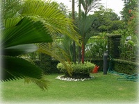 Planteverde Mantenimiento.jpg