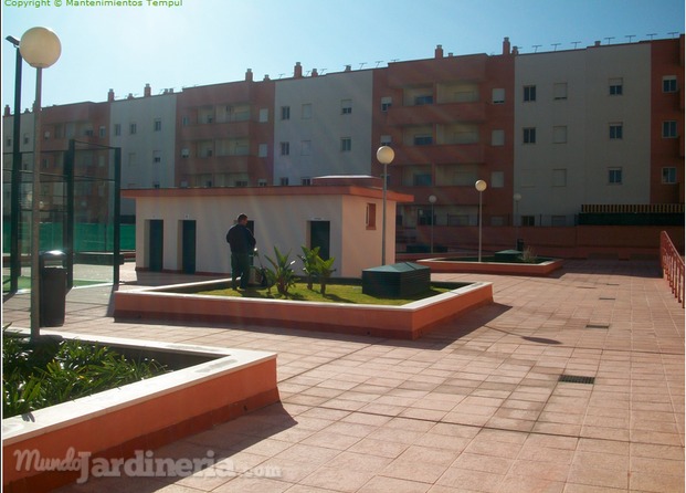 Mantenimiento jardín